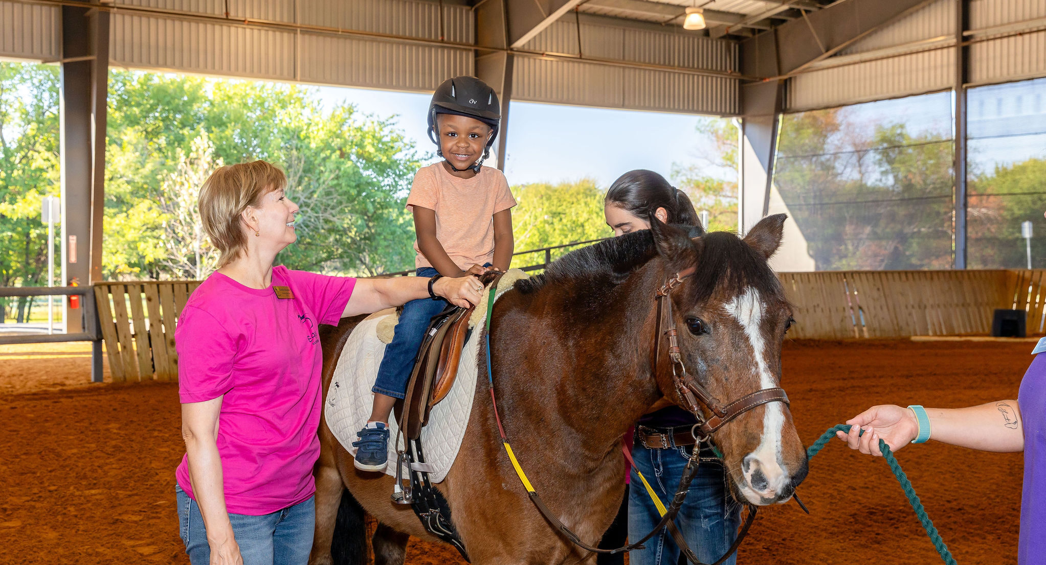 a group of people standing around a brown horse