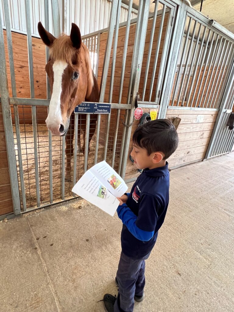 a little boy standing in front of a horse