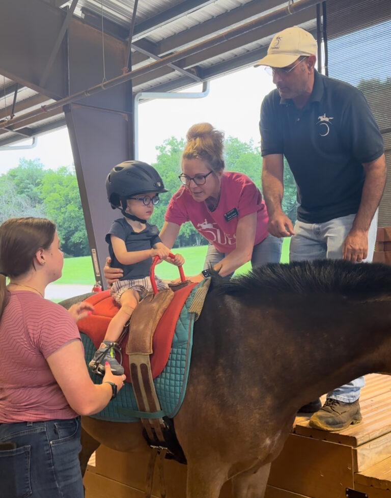 group of people standing around a brown horse