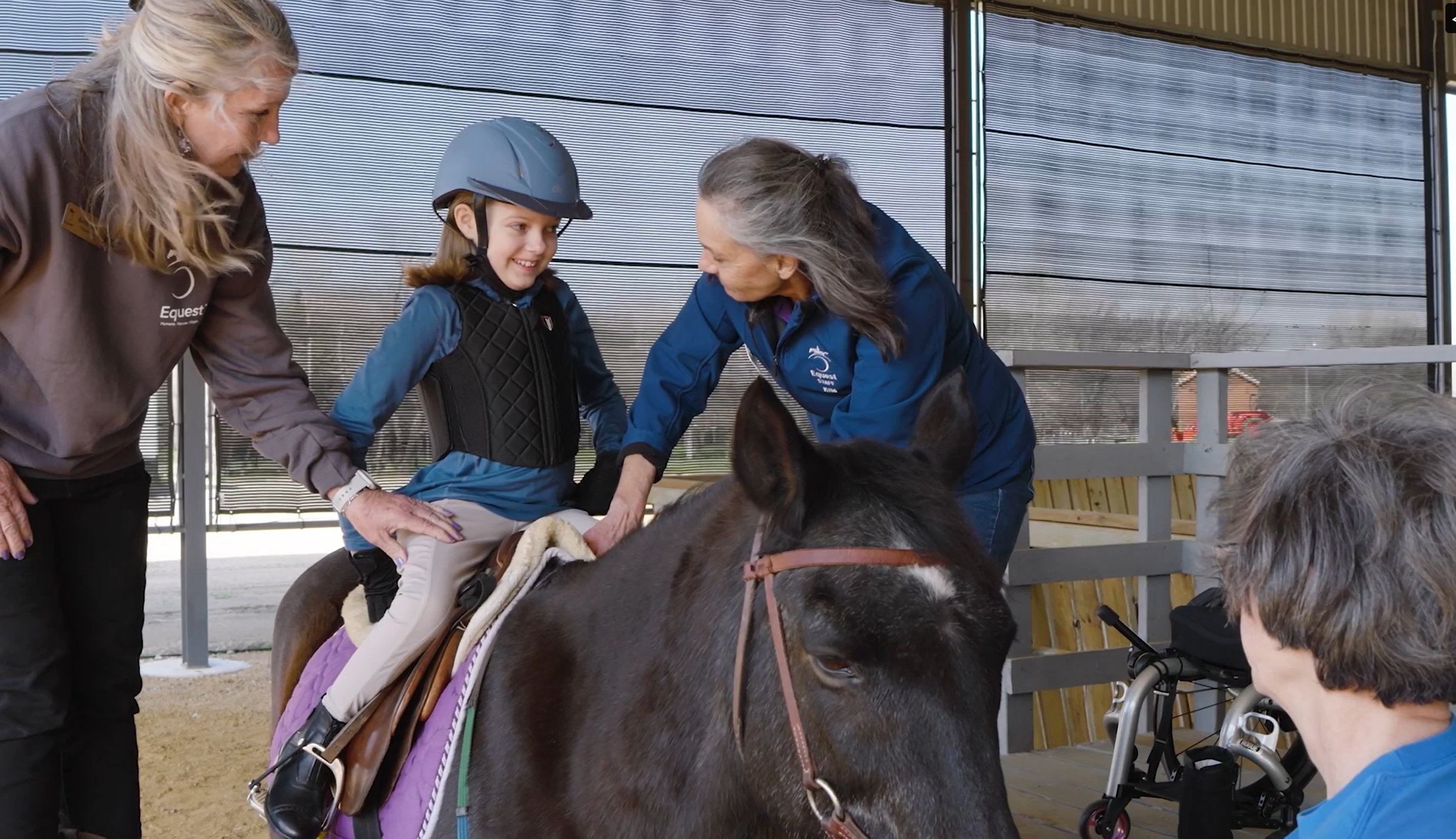 group of people standing around a brown horse