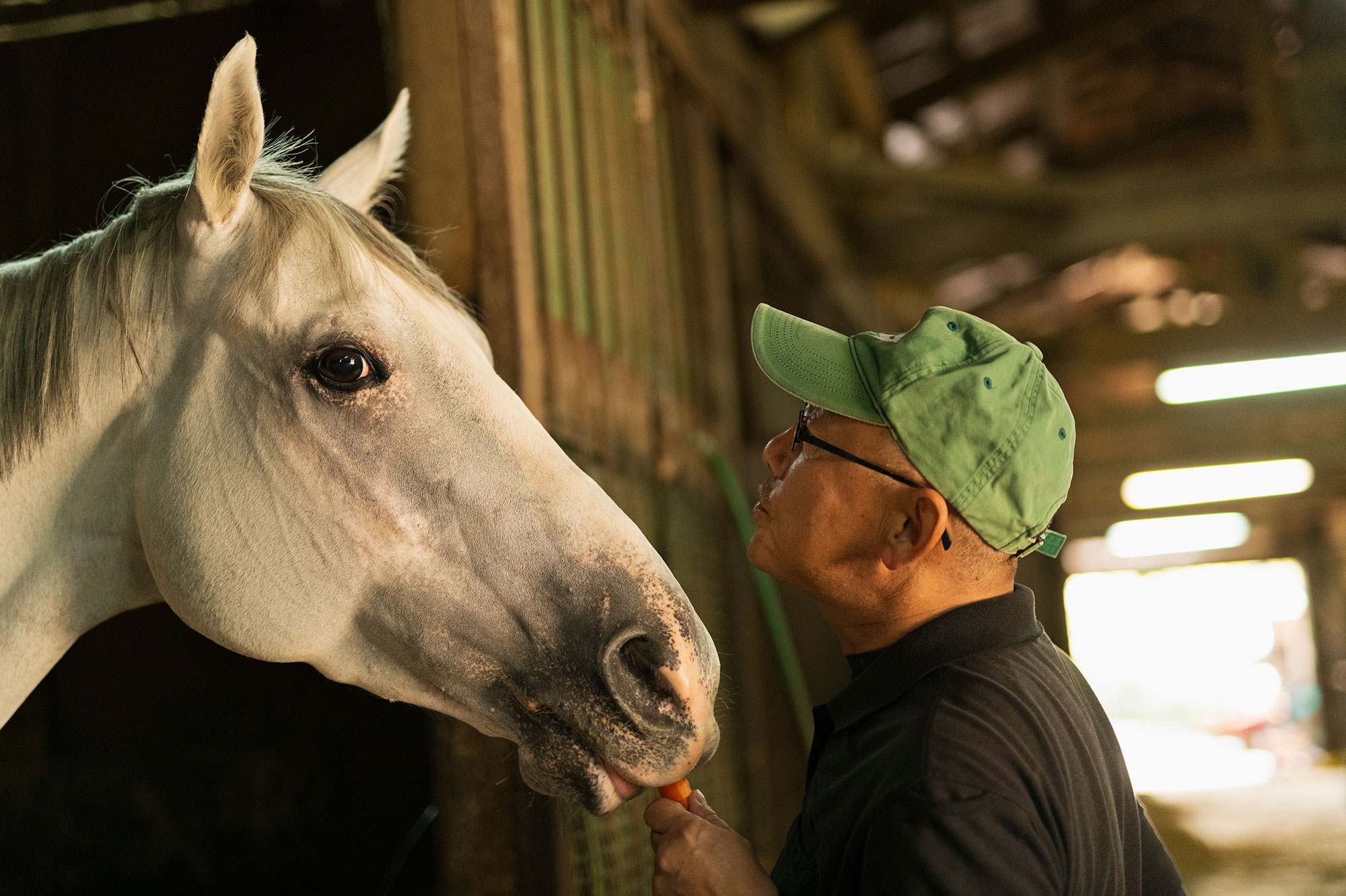man standing next to a white horse