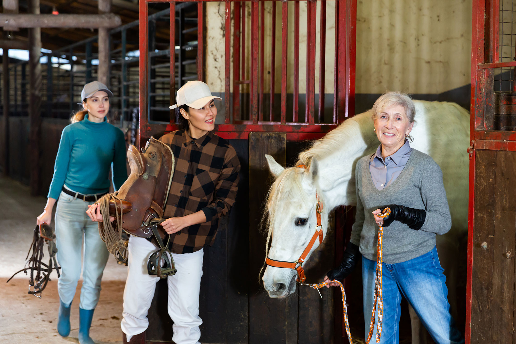 group of people standing next to a white horse